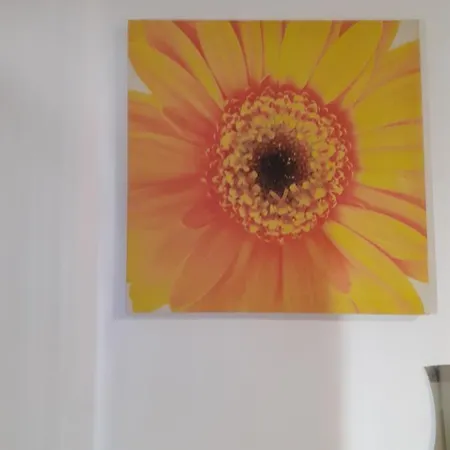 Mont Montijo